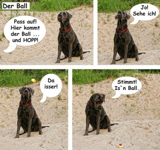 med_Der Ball.jpg (512 x 480)